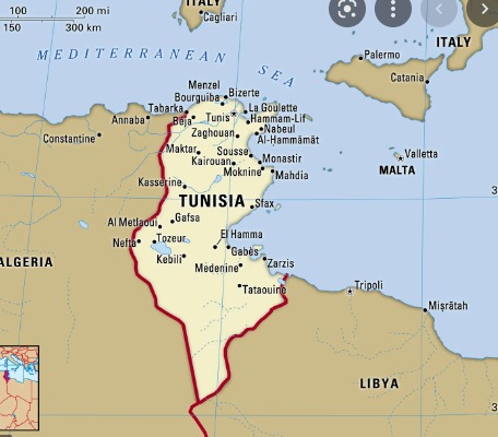 تونس عندها حدود مع قداش من دولة ؟