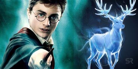 Combien de films de la saga Harry Potter ont-ils tournés ?