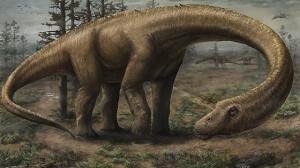 En Patagonie (Argentine), des chercheurs ont découvert les restes du plus grand dinosaure trouvé à ce jour. Les experts en sont convaincus : la créature est un sauropode…