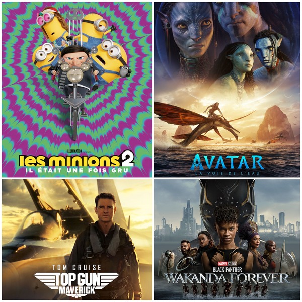 Quel film a été le plus vu dans les cinémas français en 2022, avec environ 6,9 millions d'entrées ?