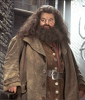 Il va venir en personne chercher Harry pour le mener à Poudlard, c'est ?