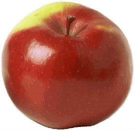 Combien de couleurs peut avoir la pomme ?