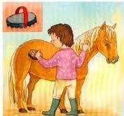 Pour nettoyer un poney, quelle brosse faut-il passer en premier ?