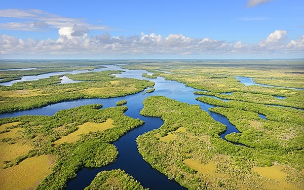 Si vous êtes dans le parc national des Everglades, vous êtes… ?
