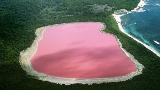 Cette lagune située en Australie-Occidentale, s'appelle le _____ ?