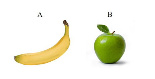 Lequel de ces fruits en anatomie est associé à Adam ?