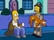 Qual o nome dos animais de Homer ?