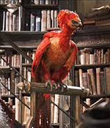 Comment s'appelle l'oiseau de Dumbledore ?