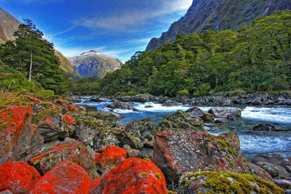 Quel est le plus grand parc naturel de Nouvelle-Zélande ?