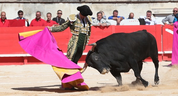 En corrida, cérémonie au cours de laquelle le matador débutant acquiert le grade de matador.