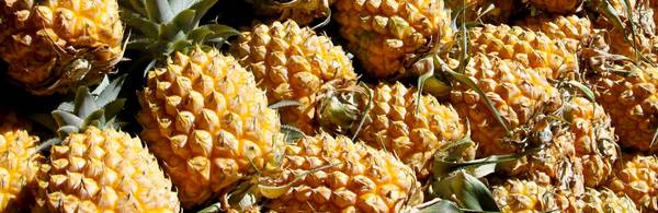 Que signifie le mot ananas en tupi-guarani ?