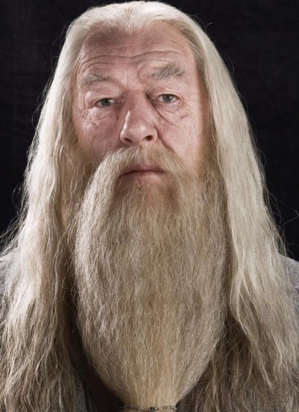 Dans Harry Potter, à quelle maison appartient Dumbledore ?