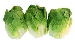 Quelle est cette salade ?