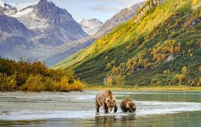 Quel État américain partage une frontière avec l'Alaska ?