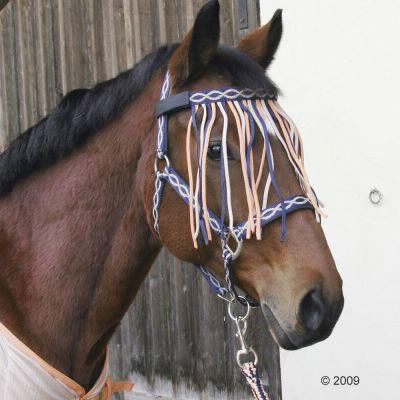 A quoi servent les longues franges sur la tête du cheval ?