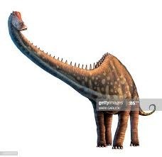 Quelle longueur faisait le diplodocus ?