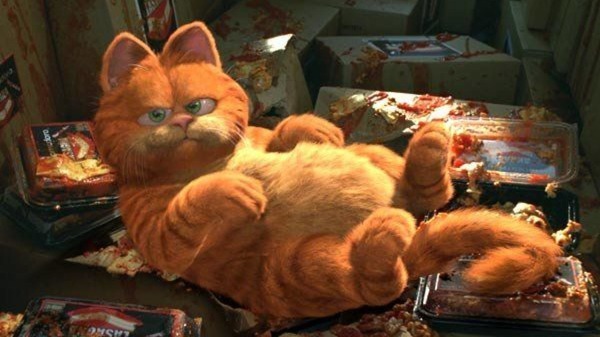 Garfield aime quelles sortes de pâtes cuisinées ?