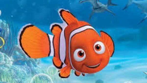 Quel est le handicap physique de Nemo ?