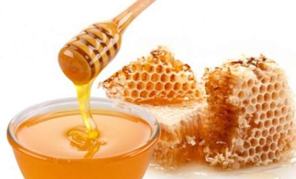 Quel autre insecte que l'abeille peut produire du miel ?