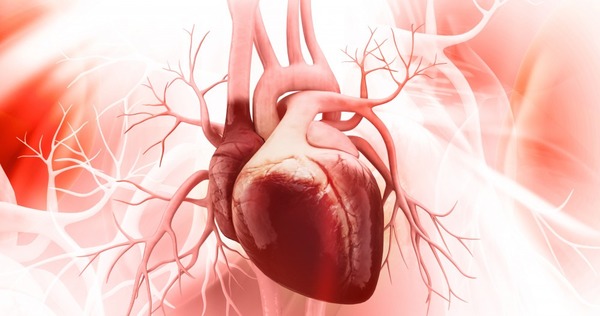 Comment appelle-t-on la membrane qui entoure le cœur ?