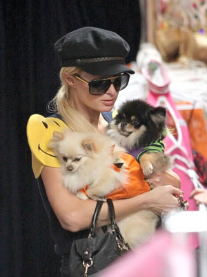Lequel de ces noms n'appartient pas à un chien de Paris Hilton ?