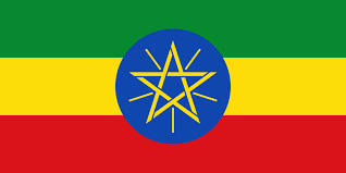 L'étoile représente à la fois : la paix (bleu) l'avenir et la prospérité (les lumières jaunes) et l'unité, la diversité (pentagramme) ce drapeau à été adopté en 1996 par quel pays ?