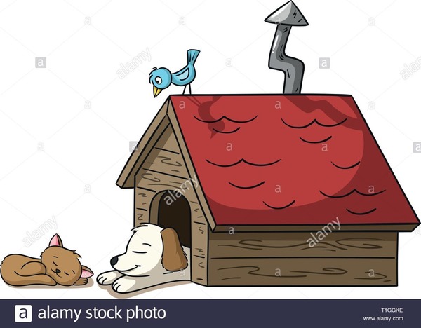 Quel abri situé à l'extérieur des maisons est spécifiquement fabriqué pour les chiens ?