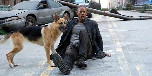 Quelle est la race du chien qui joue Sam dans le film « Je suis une légende », avec Will Smith ?