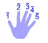 Comment s'appelle le troisième doigt ?