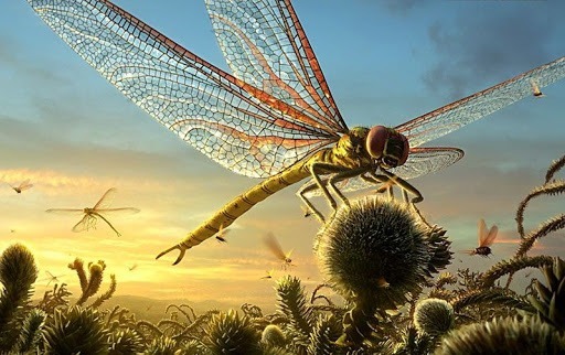 Quelle était l’envergure de Meganeura monyi, une libelllule géante qui vivait lors du Carbonifère il y a 300 millions d’années ?