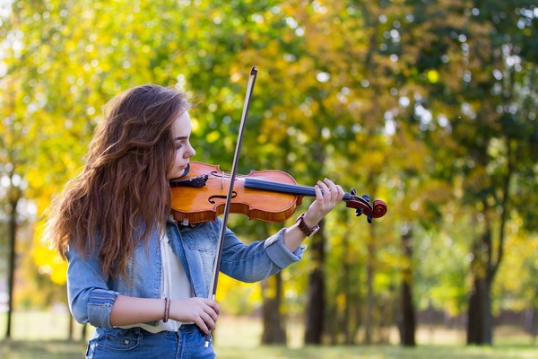 De combien de pièces de bois, collées ou assemblées, un violon est-il composé ?