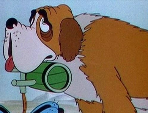 Considéré comme le chien de Donald, quel est le nom de ce Saint-Bernard ?