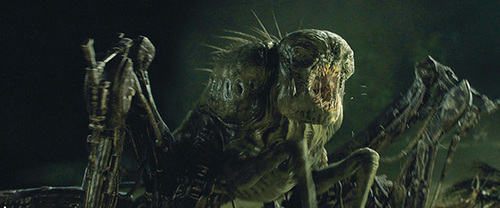 Quel est le nom donné aux monstres dans le film Le Labyrinthe ?