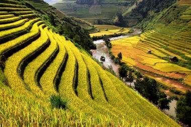 Apesar da mecanização no setor agrícola, a China ainda preserva uma prática agrícola milenar, aproveita partes montanhosa para cultivar alguns cereais como trigo, arroz.Marque a alternativa que identifica a agricultura em destaque.