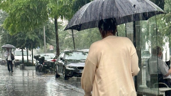 Lors d'une grosse pluie, on dit qu'il tombe des.....