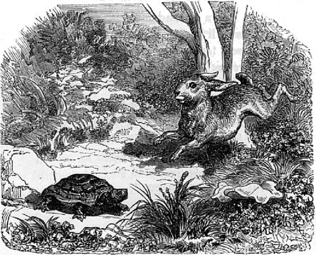 Jean de Lafontaine est l'auteur de la fable "La tortue et le lièvre" !