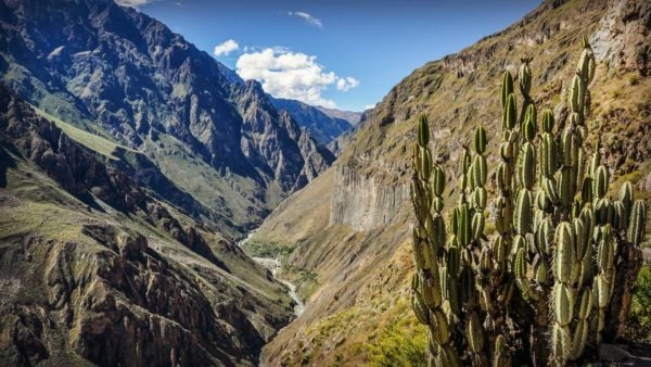 Quel profond canyon du Pérou Mike Horn a-t-il descendu en hydrospeed ?