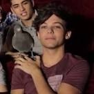 Comment s'appellait le pigeon de Louis ?