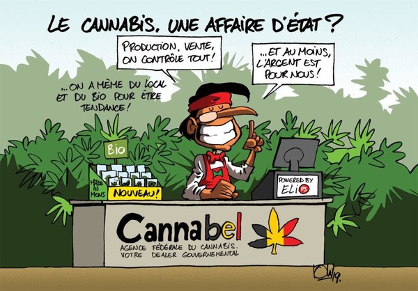 Quelle quantité de cannabis a été saisie à Avallon dimanche dernier, principalement au domicile de la maire de cette petite ville de l’Yonne ?