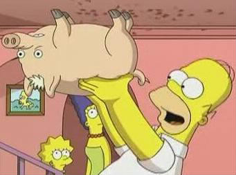 Où Homer trouve-t-il un cochon, qu'il va adopter ?