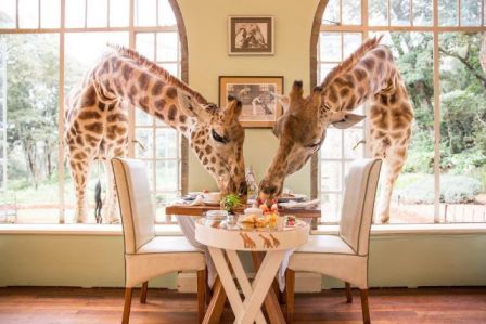 Ou trouve-t-on le "Giraffe Manor" ?
