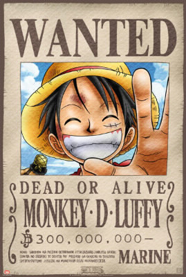 Qui est derrière Luffy sur son avis de recherche ?