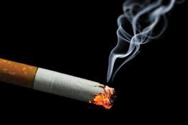 Uso de tabaco é a principal causa dos cânceres de :