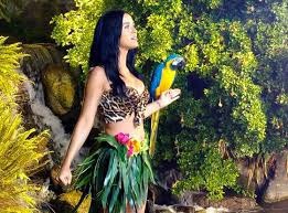 Katy Perry : Roar...