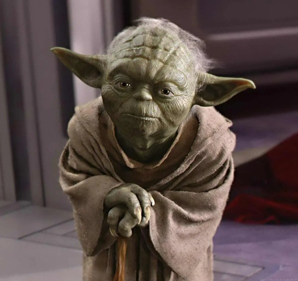 Le sculpteur Stuart Freeborn a créé le visage de Yoda en s'inspirant du sien et de :