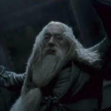 Que font les élèves et les professeurs en l'honneur de Dumbledore à la mort de celui-ci ?