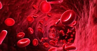 Science - Quel groupe sanguin est donneur universel ?