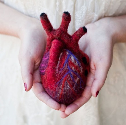 O que é necessário para que o coração funcione fora do corpo?