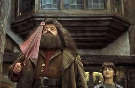 Où va-t-il avec Hagrid pour acheter les fournitures ?