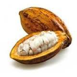 Les graines de Cacao, sont contenues dans :
